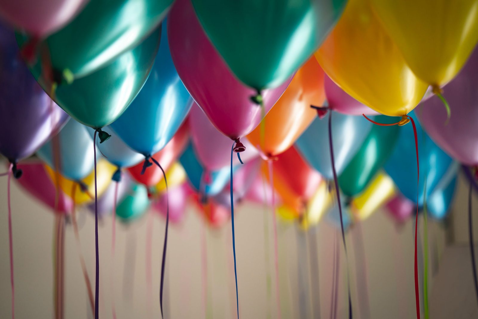 Happy Birthday to Hilltop! Our first year in review
